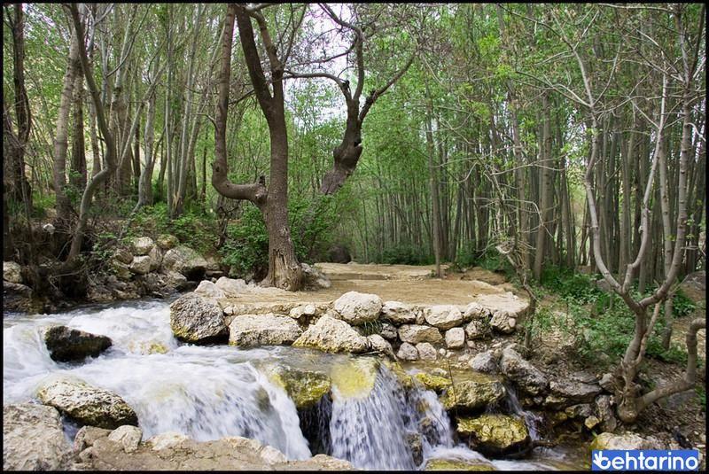 چشمه قلعه فارسان