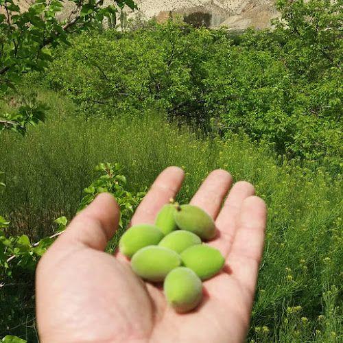 منطقه بومگردی بنریز