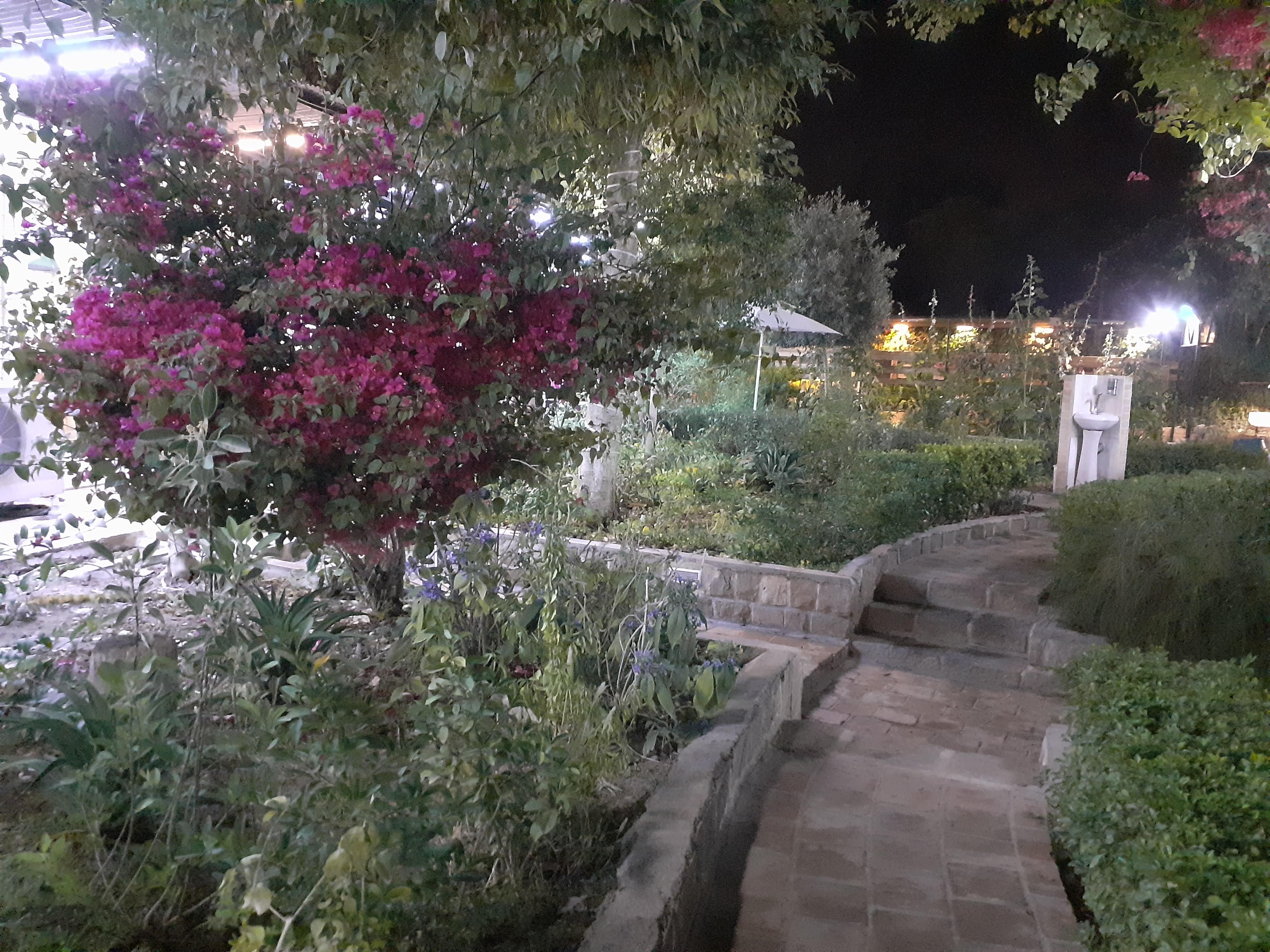 رستوران پردیس سلمان