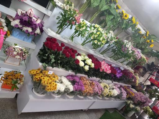 گلسرای سادات
