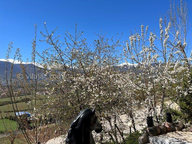 اجاره ویلای چوبی در کلاردشت