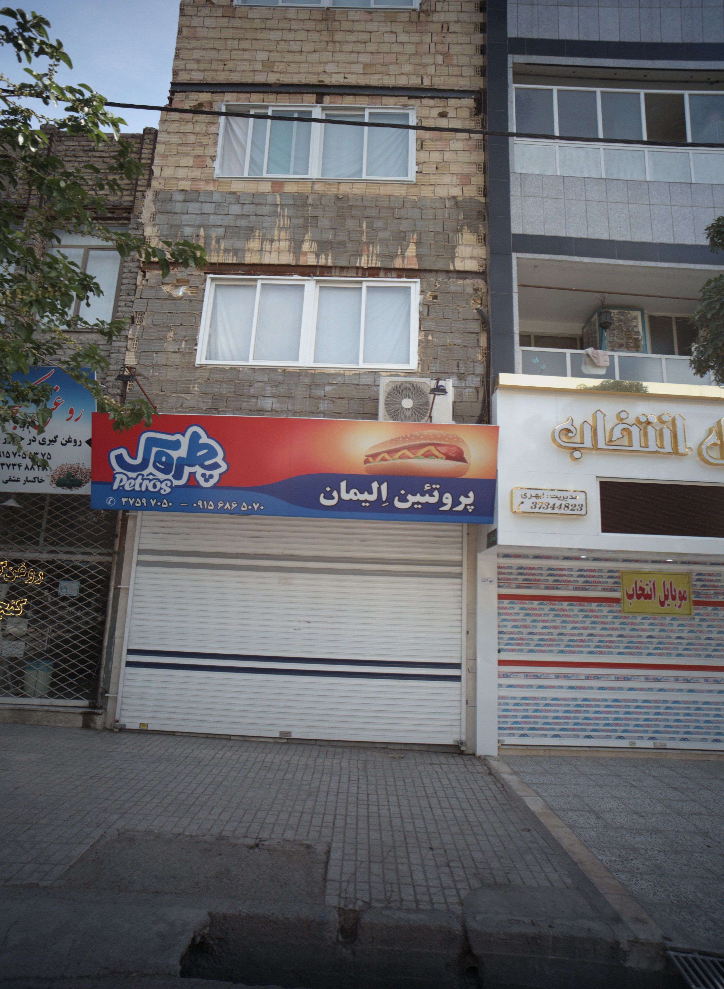 پروتئین الیمان