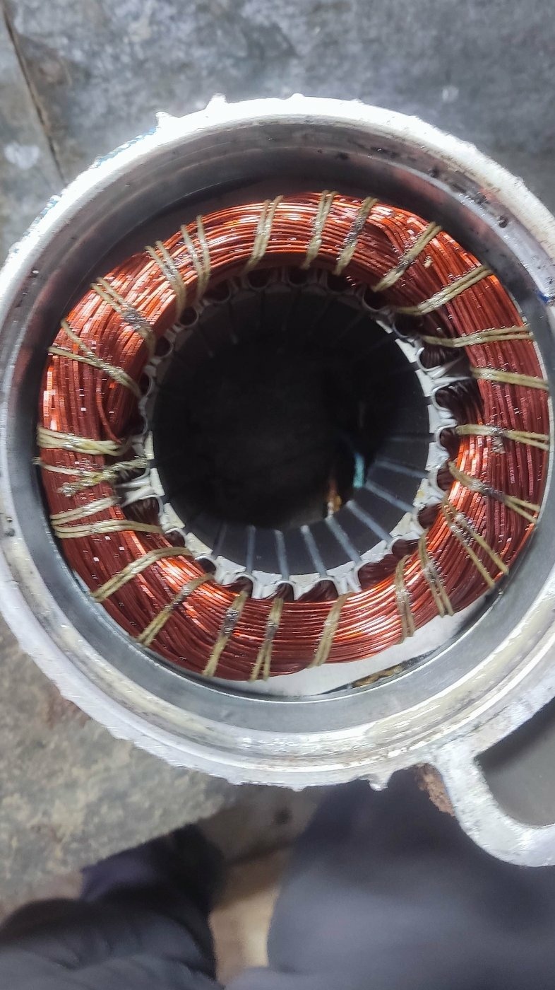 مسعود کشاورز گرامی