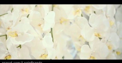 سالن زیبایی مینا رئوف