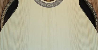 ساخت و تعمیرات گیتار حافظ دوست