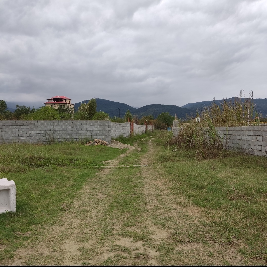 املاک امیران شمال