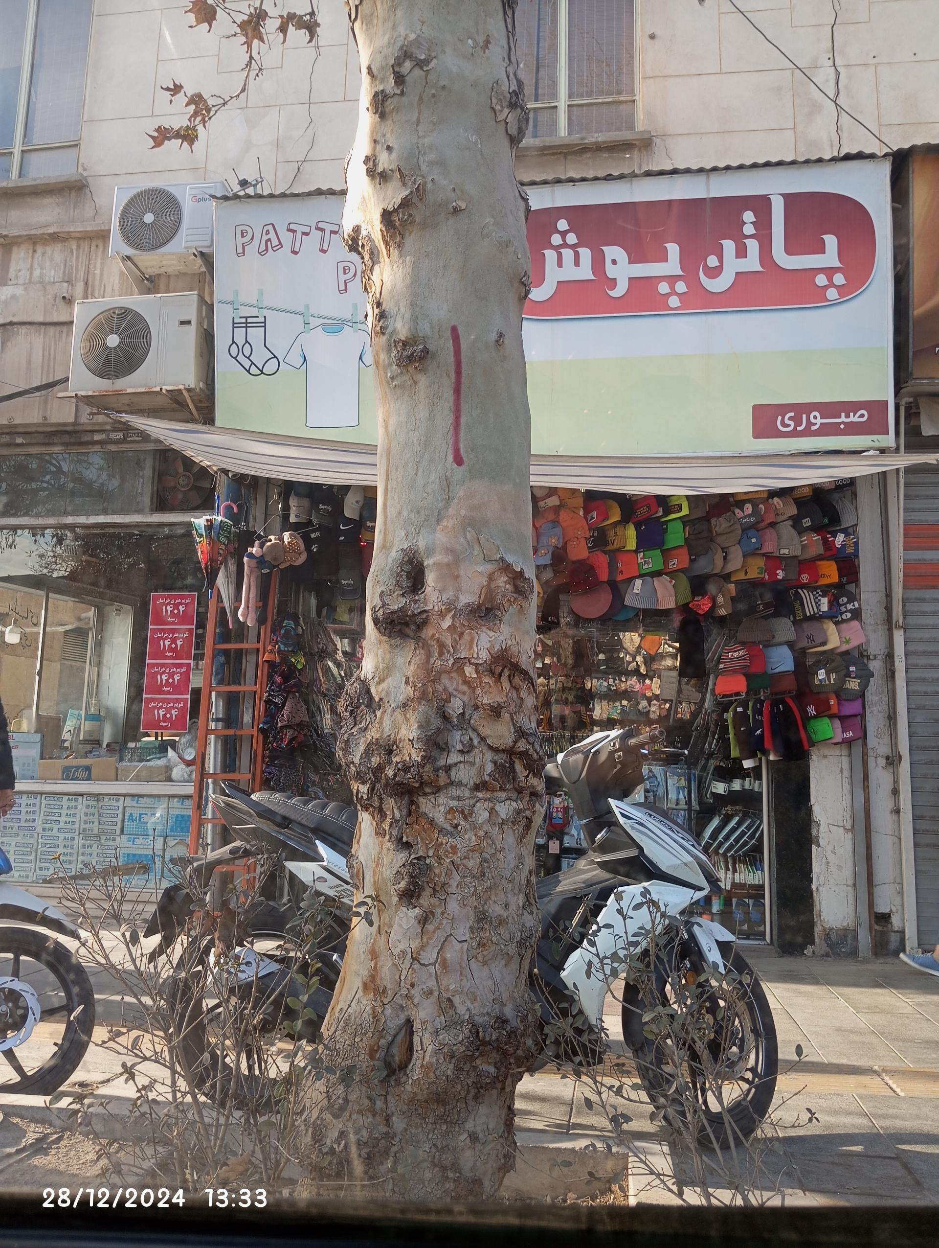 پوشاک تبرک