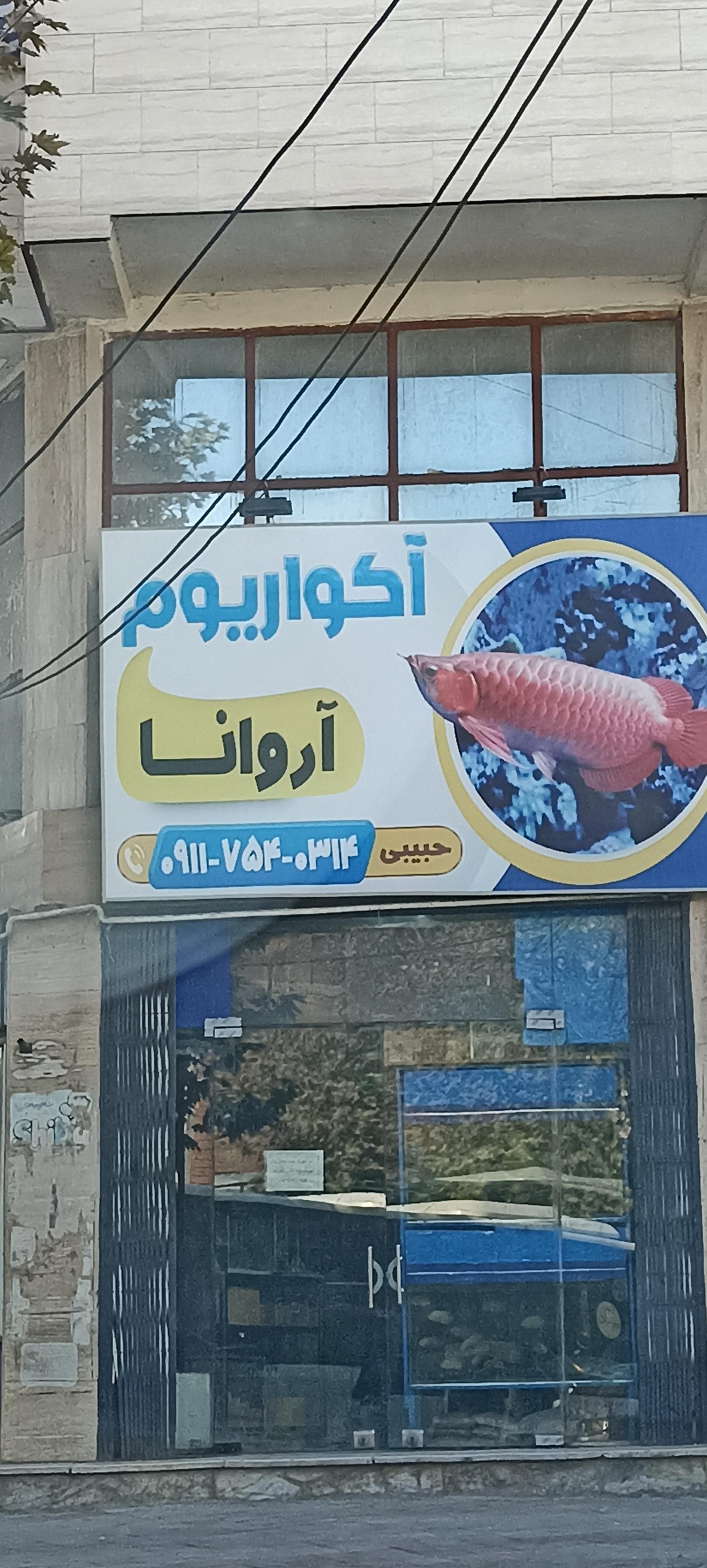 آنیتا آکواریوم