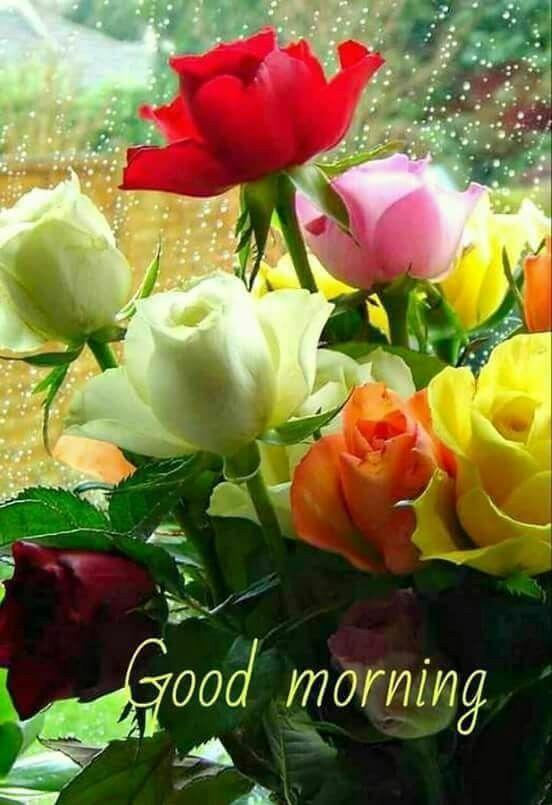 فروشگاه لوازم خانه