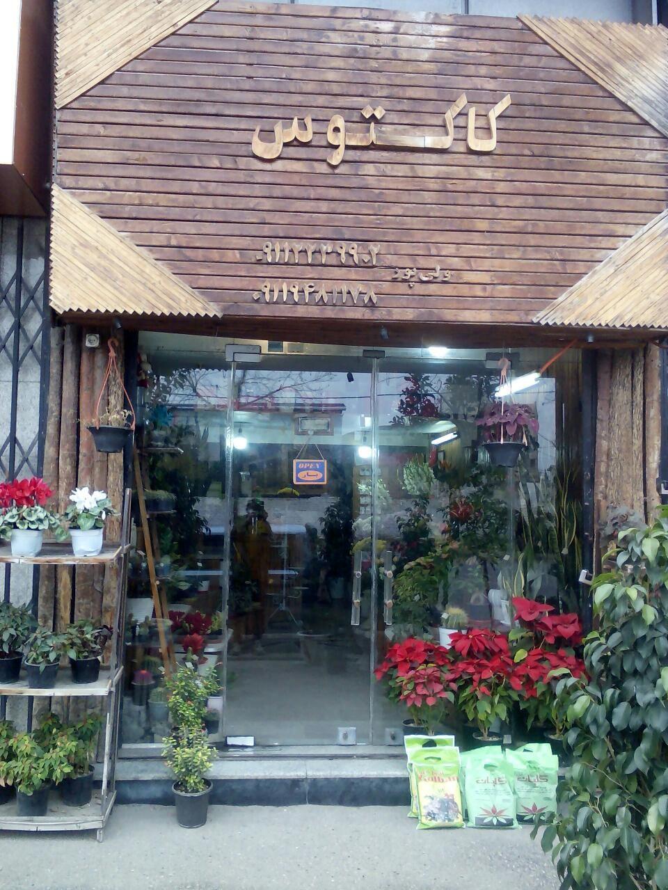 گلسرای کاکتوس