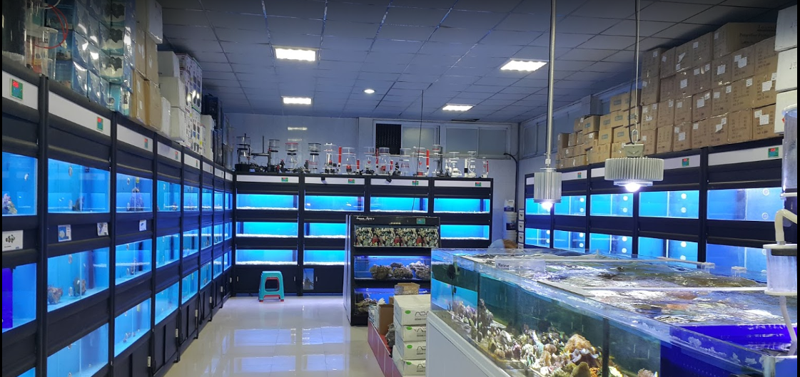 ایران اکواریوم