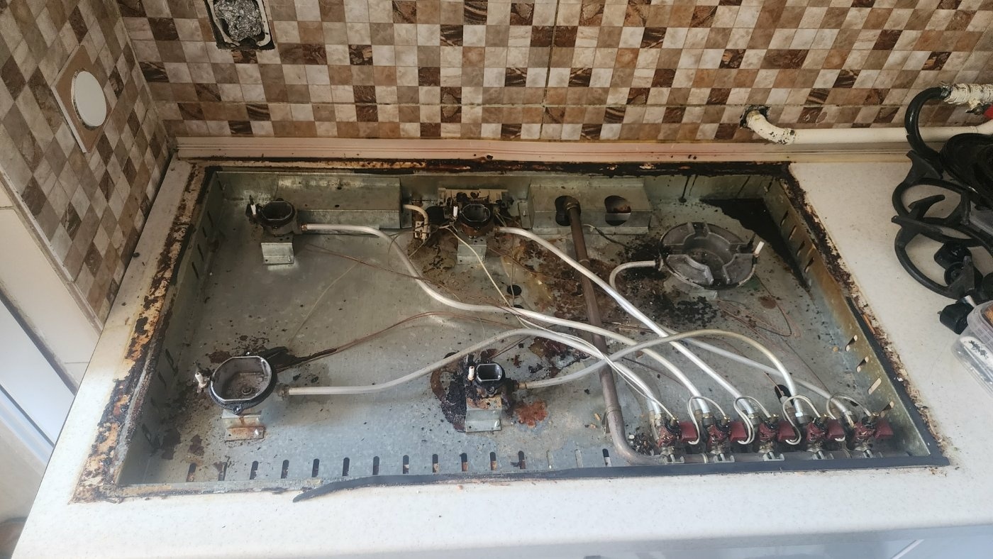 پوریا خداوردی