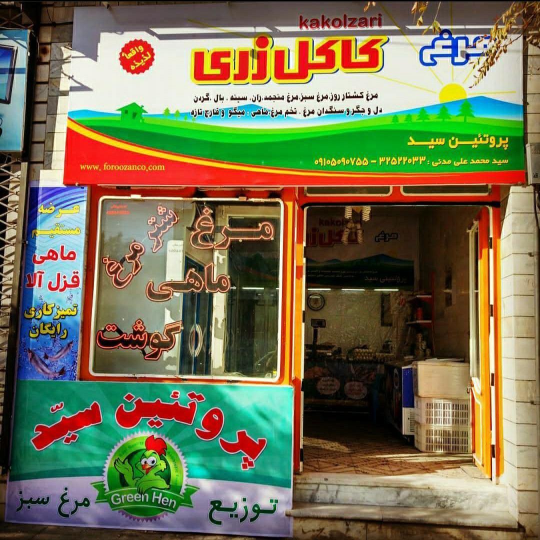 پروتئین سید