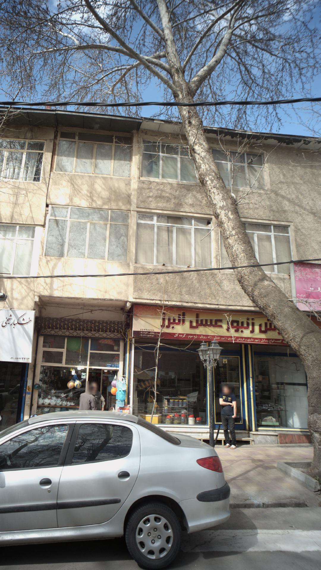 پرورش زنبور عسل البرز