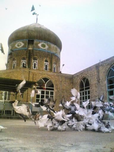 امامزاده حلیمه خاتون کرکوند