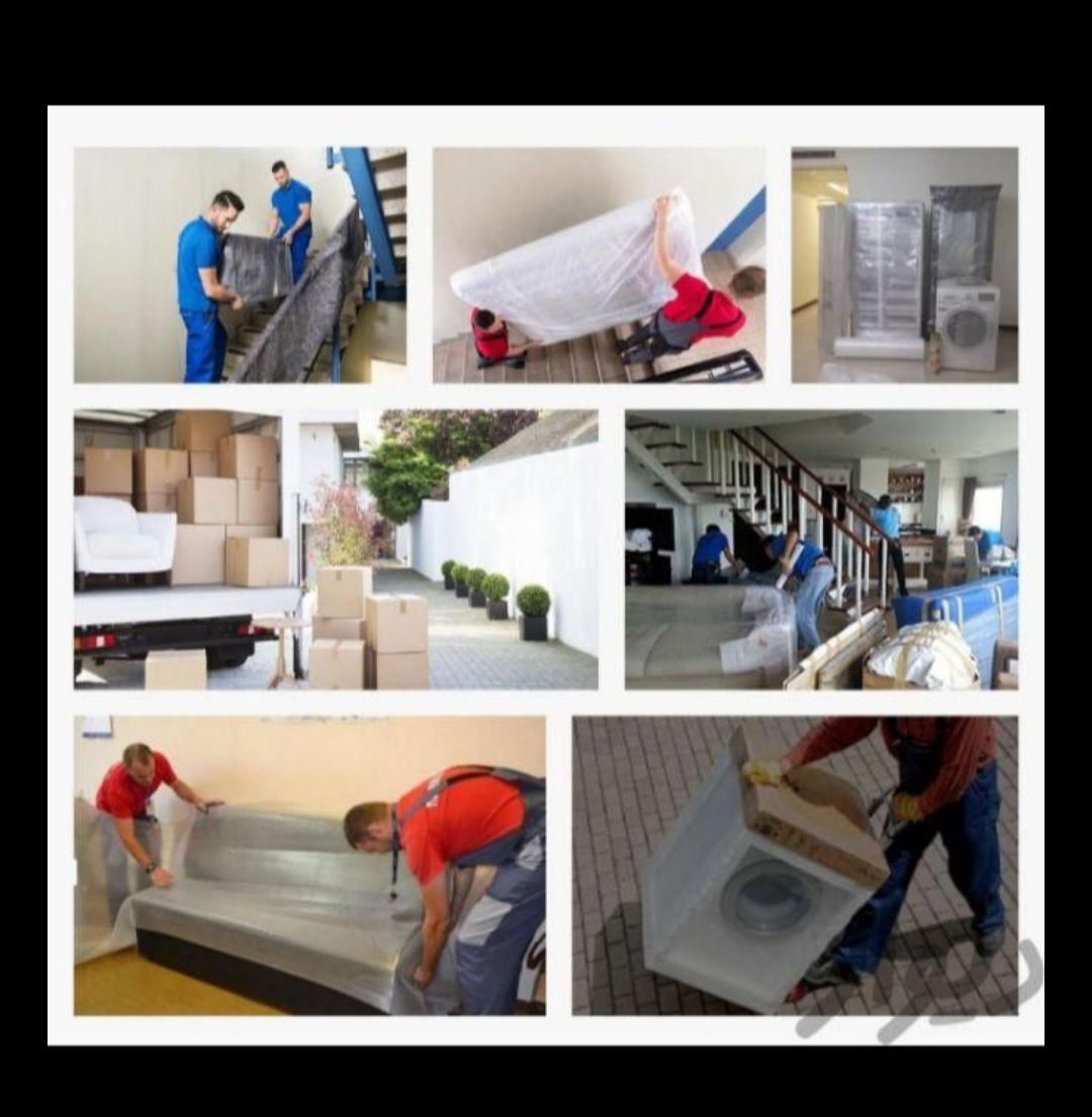 باربری لطفی