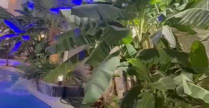 اجاره ویلاباغ های لاکچری در شهر دزفول