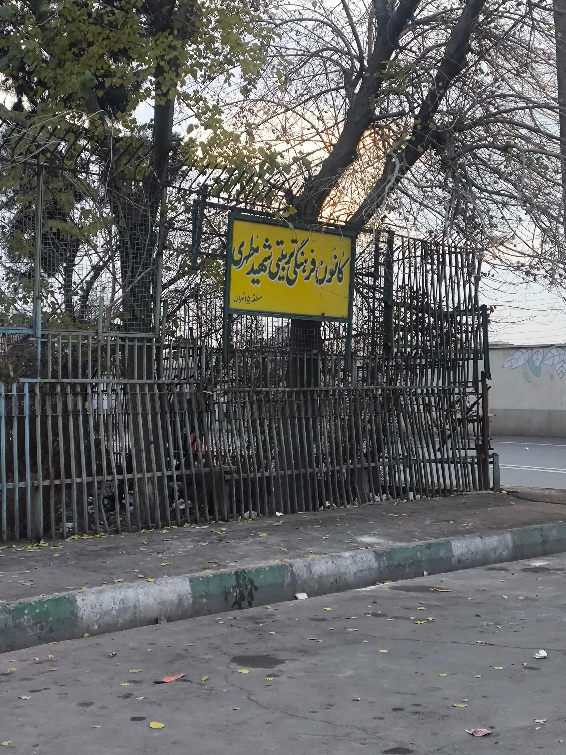 مجموعه ورزشی الزهرا (س) 11
