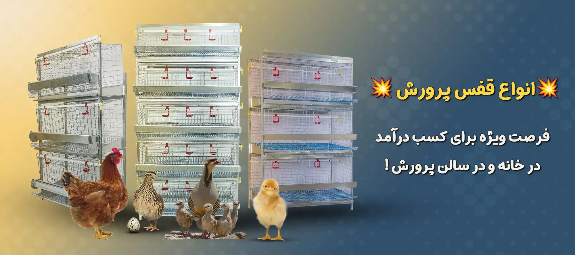 آشیونه ،تولید کننده انواع قفس پرورش طیور