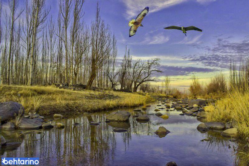 تالاب آبشینه