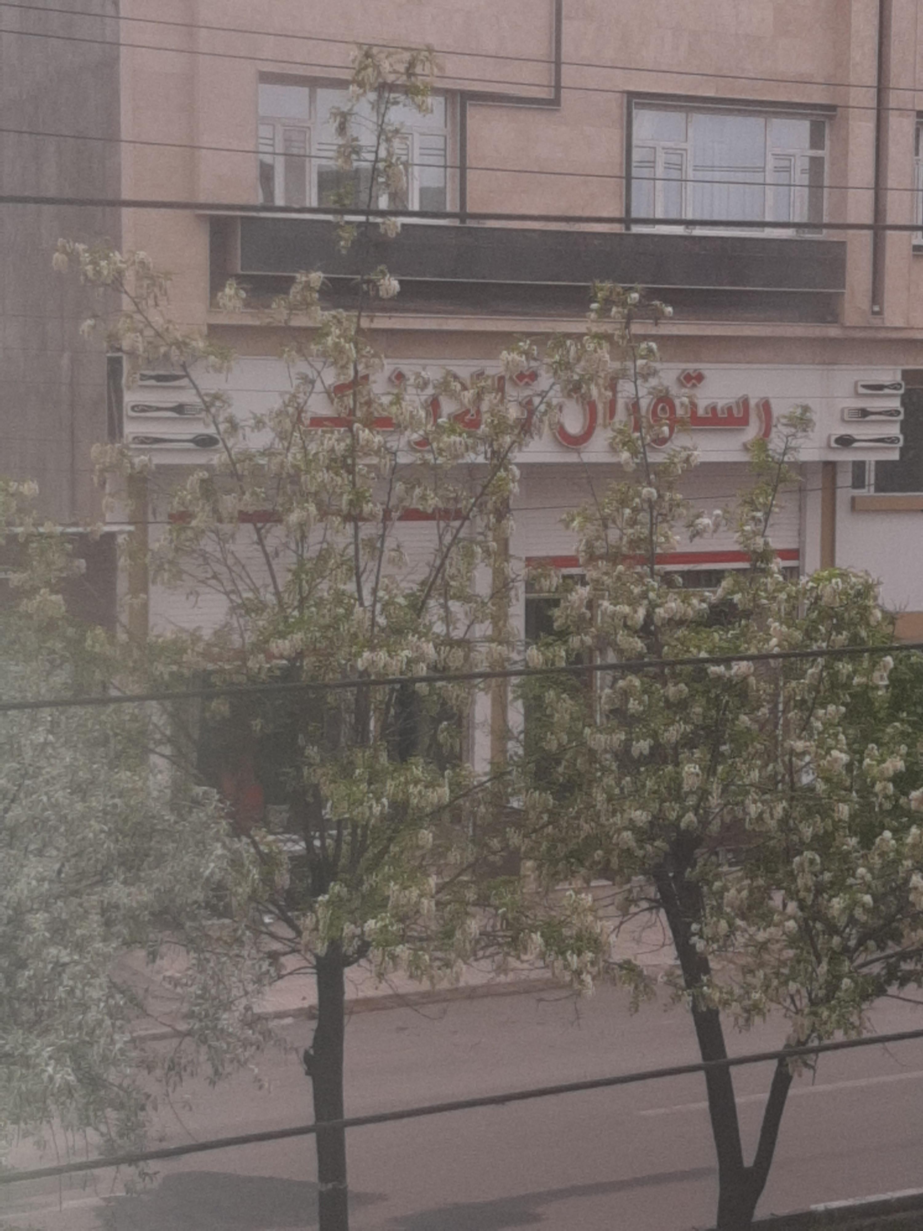 تالار و رستوران نیک