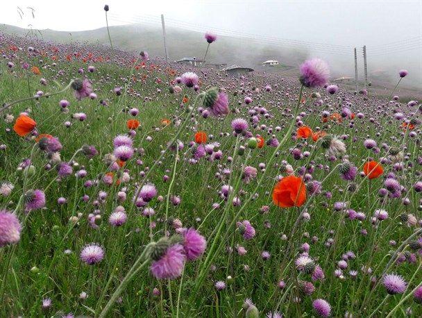 اقامتگاه بوم گردی بهشت ارده