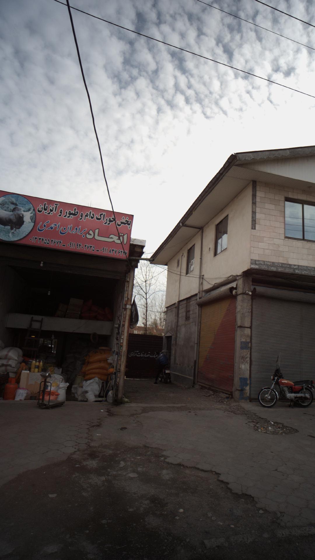 پخش خوراک دام و طیور و آبزیان اتحاد برادران احمدی