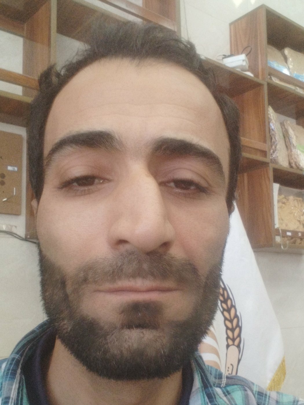 وحید میرکه دالوند