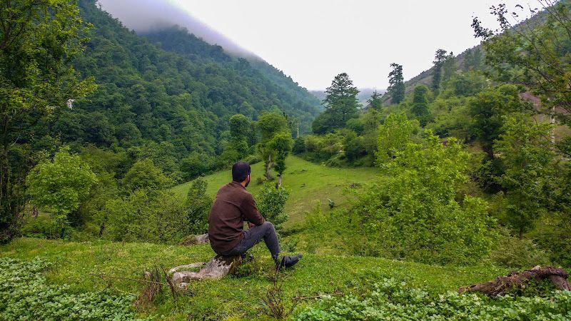 سویئت بوم گردی