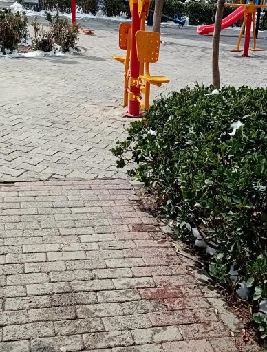 بوستان فخر