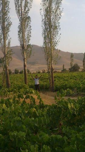 اقامتگاه توریستی قاسم