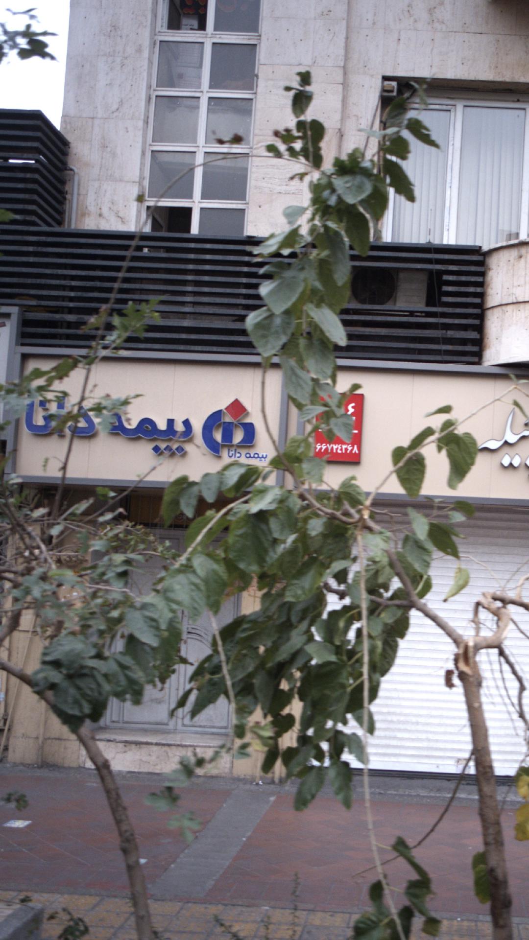 بیمه دانا