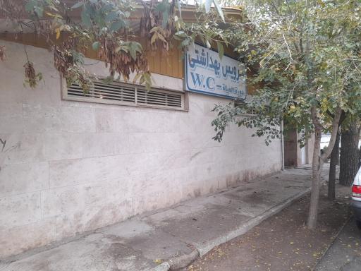 سرویس بهداشتی