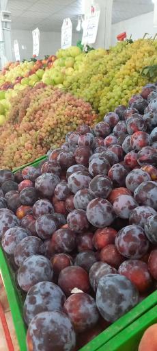 بازار میوه و تره بارخلیج فارس