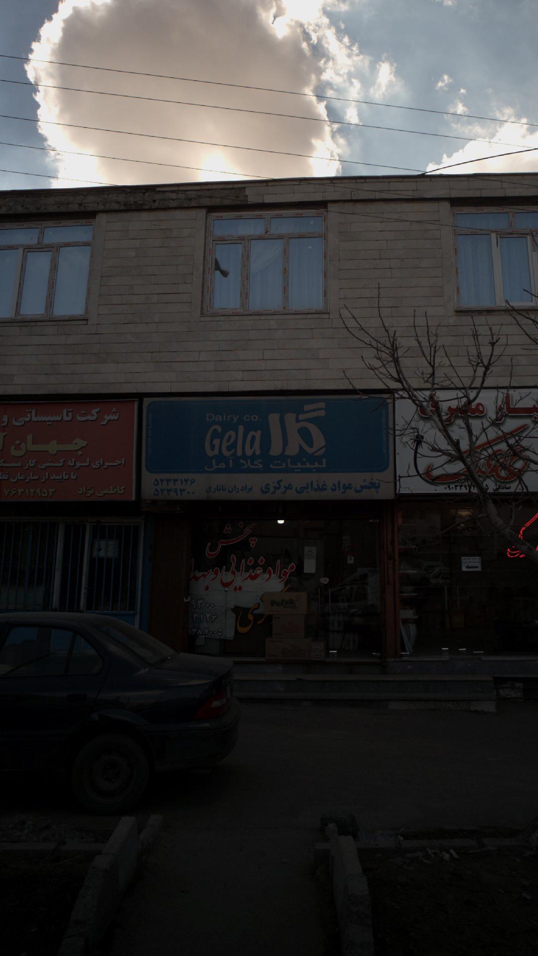 پخش مواد غذایی مرکزی برادران تاتاری - گلا