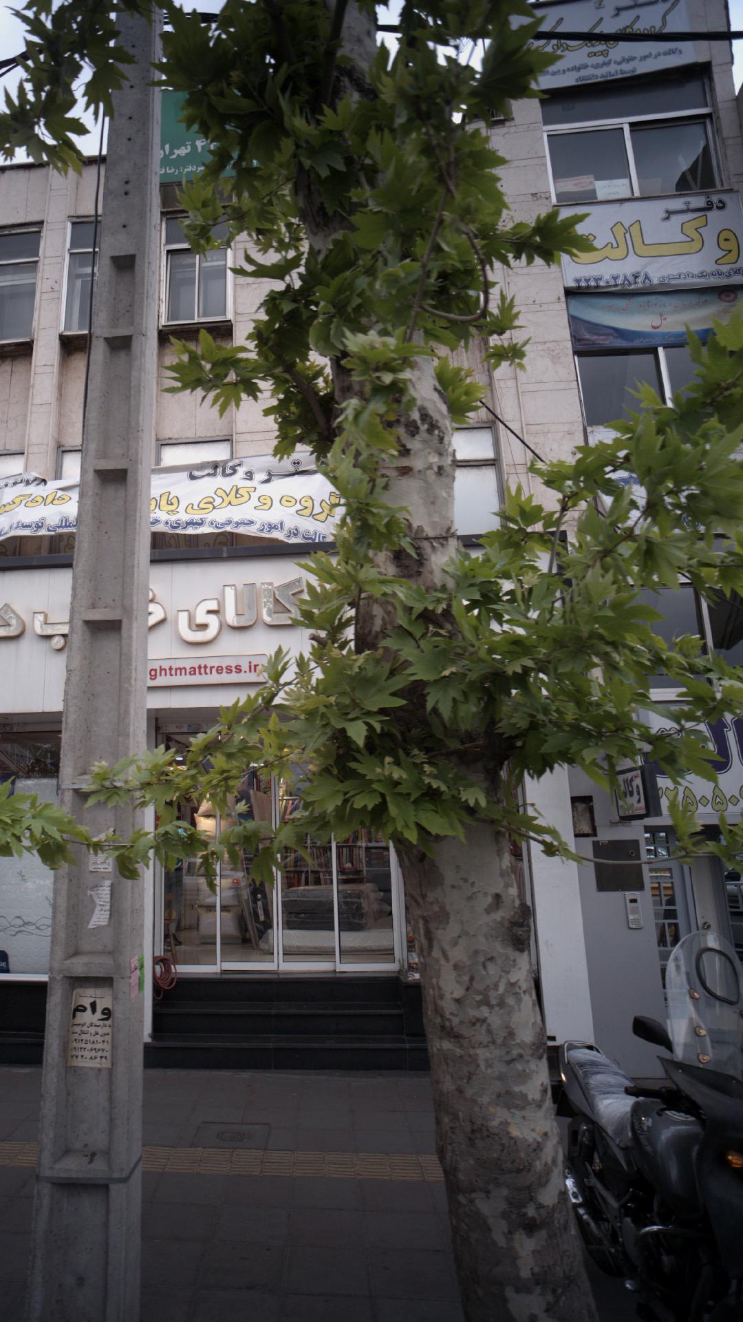 مرکز درمان و بازتوانی وابستگی به مواد گسترش سلامت آلاله