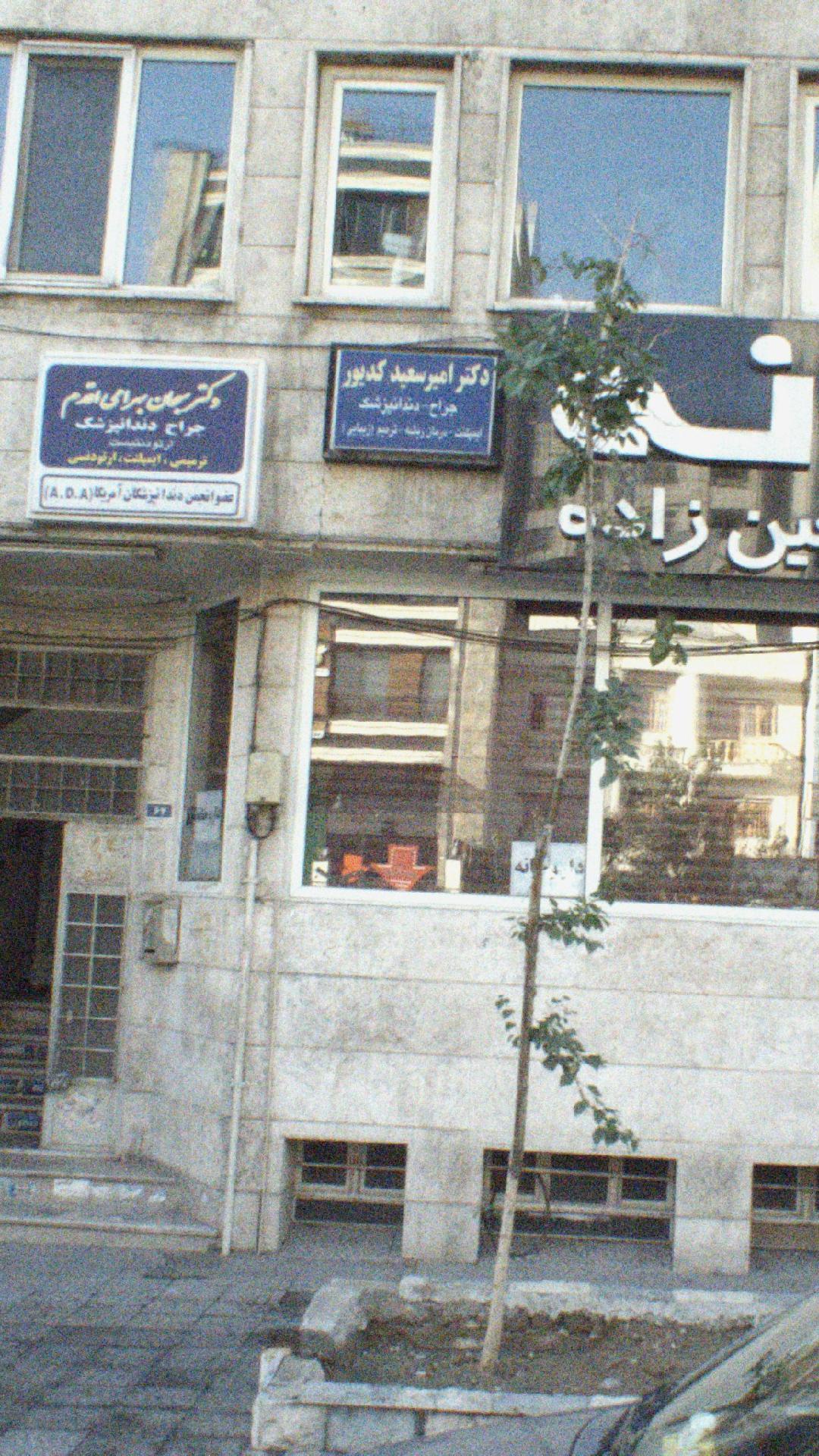 دکتر امیر سعید کدیور