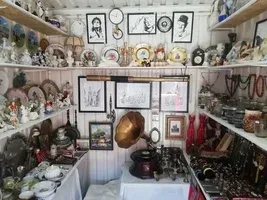 سمساری ارغوان