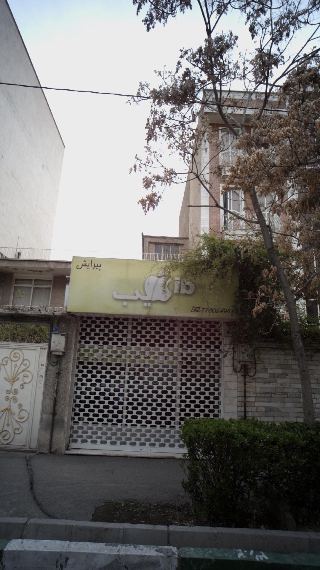 پیرایش سیب