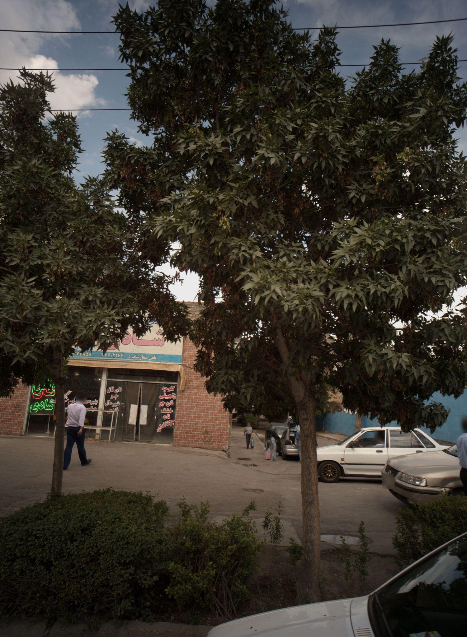 مجتمع نان شادی