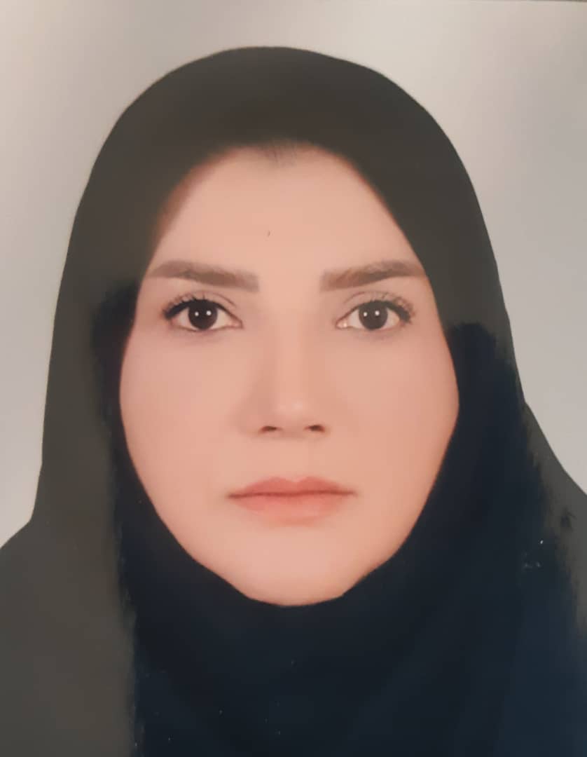 وکیل الهام حسین زاده