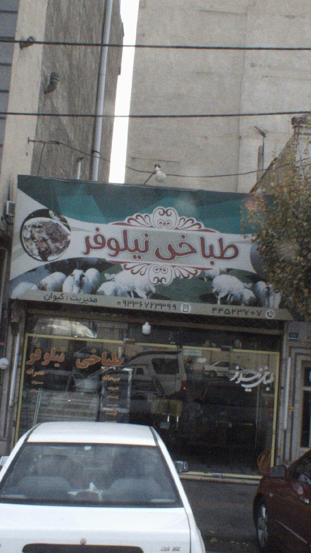 طباخی نیلوفر