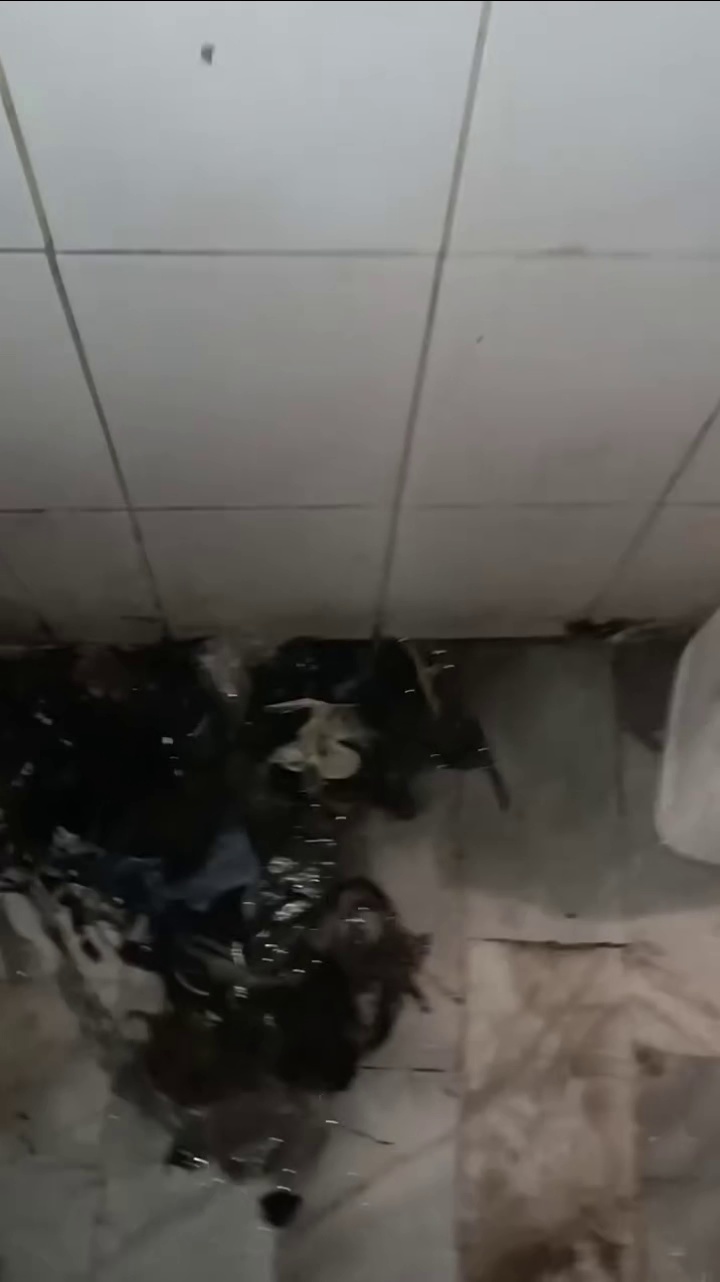 لوله بازکنی اصغر رجبی