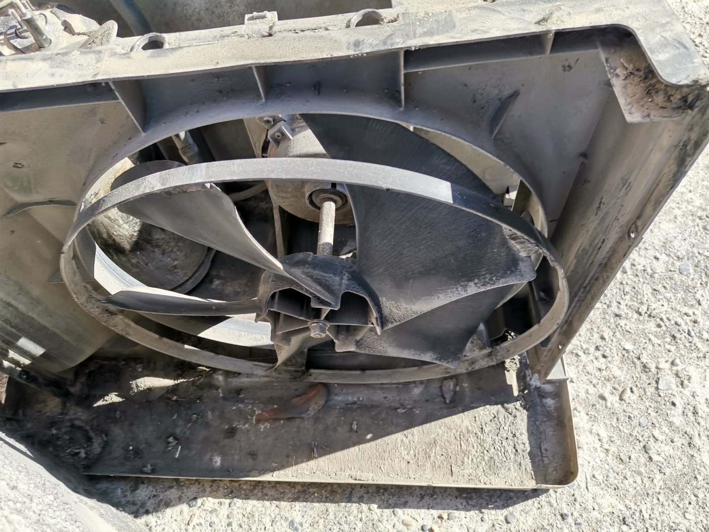 اسماعیل عابدینی