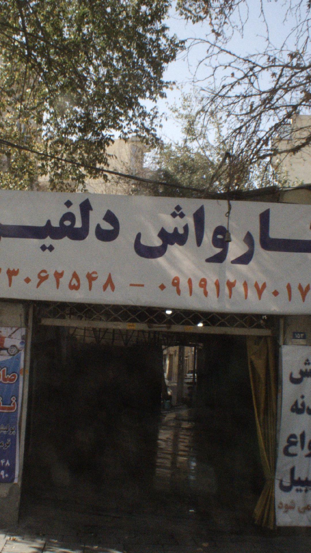 کارواش دلفین 