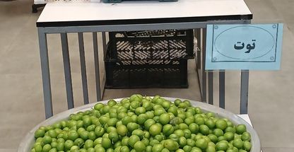 سوپر میوه یاسین