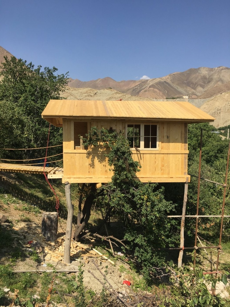 مهدی عبدی