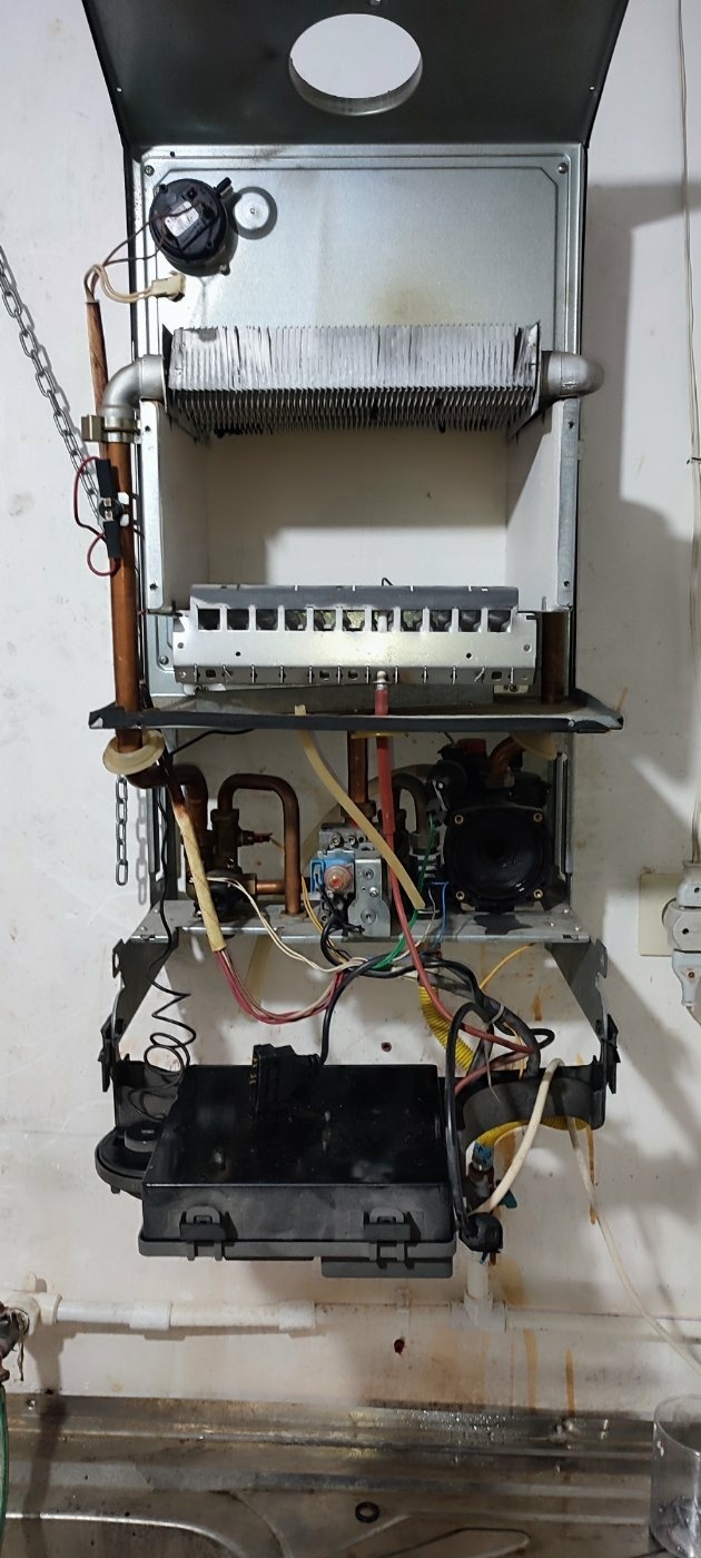 احسان دلفانی