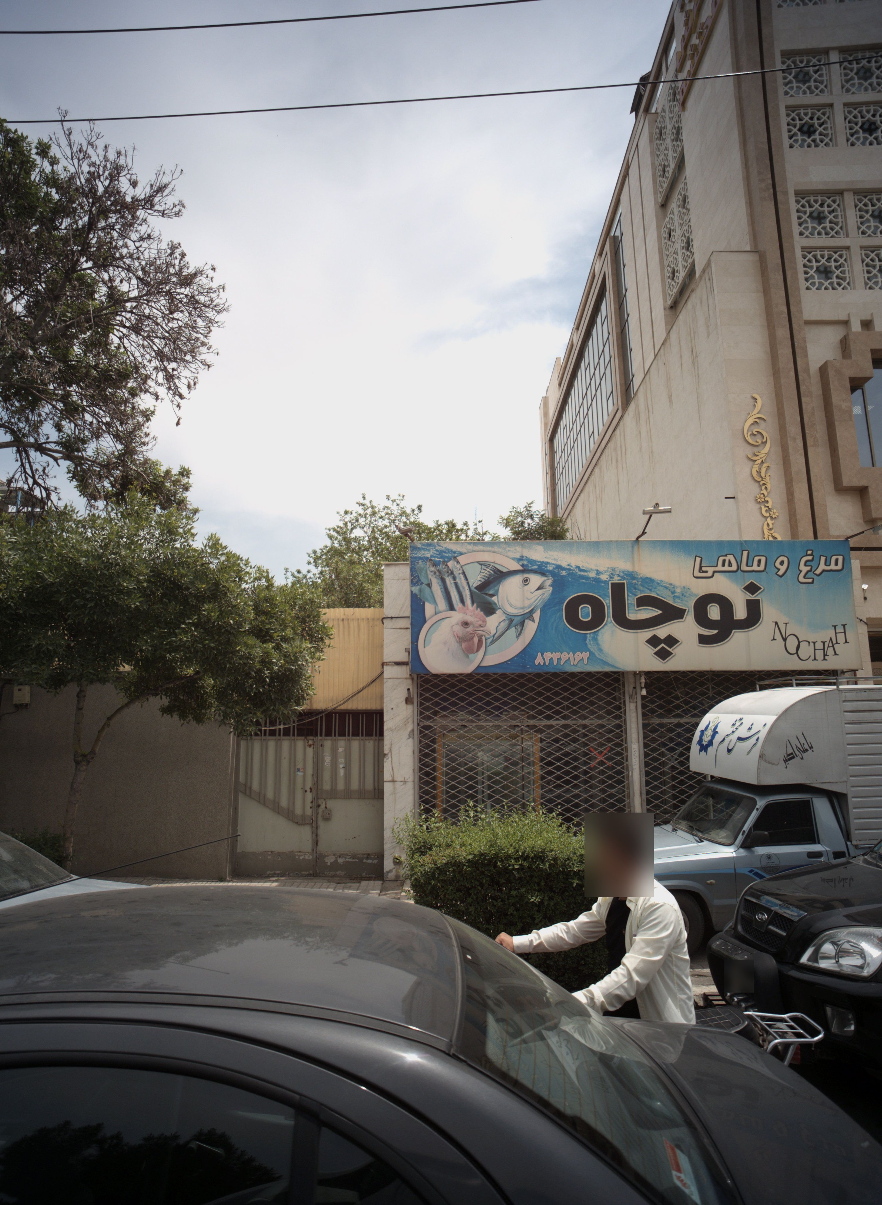 سوپر پروتئین نوچاه