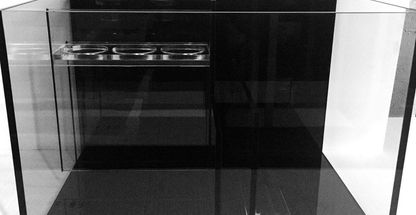 اکواریوم لیون مرکز ماهیهای اب شور